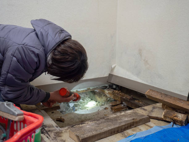 Best Mold Documentation for Insurance Claims  in Blair, WI
