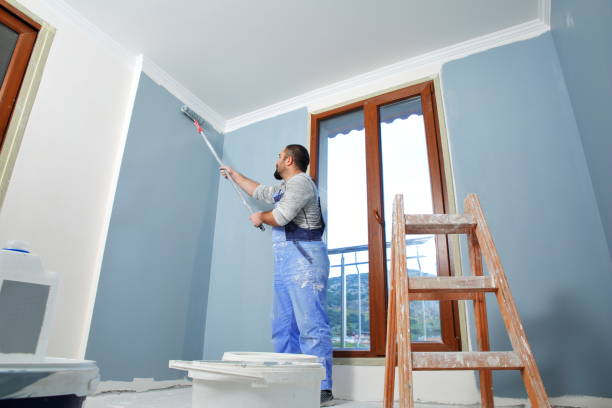 Blair, WI Mold Removal Company