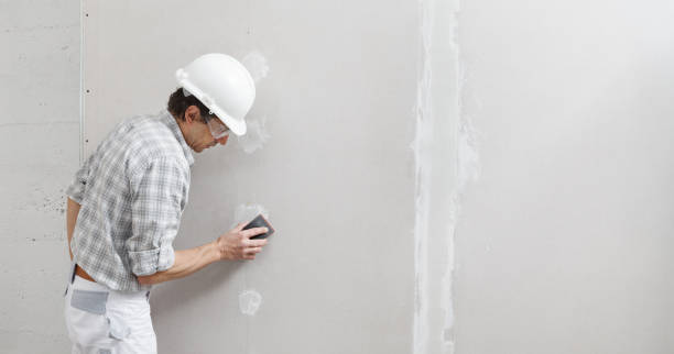 Best Mold-Related Health Consultation  in Blair, WI