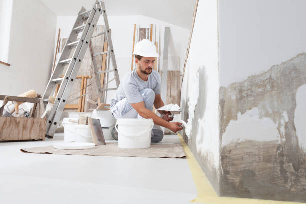 Best Comprehensive Air Testing for Mold Contaminants  in Blair, WI