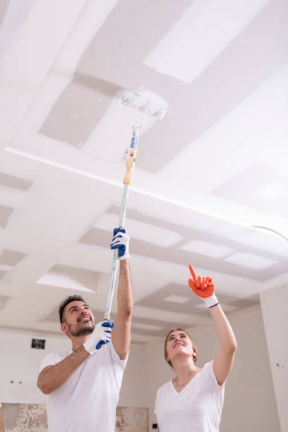 Best Mold Remediation for Healthcare Facilities  in Blair, WI