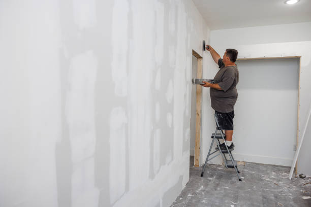Mold Documentation for Insurance Claims in Blair, WI